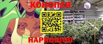 эйфоретик Обь
